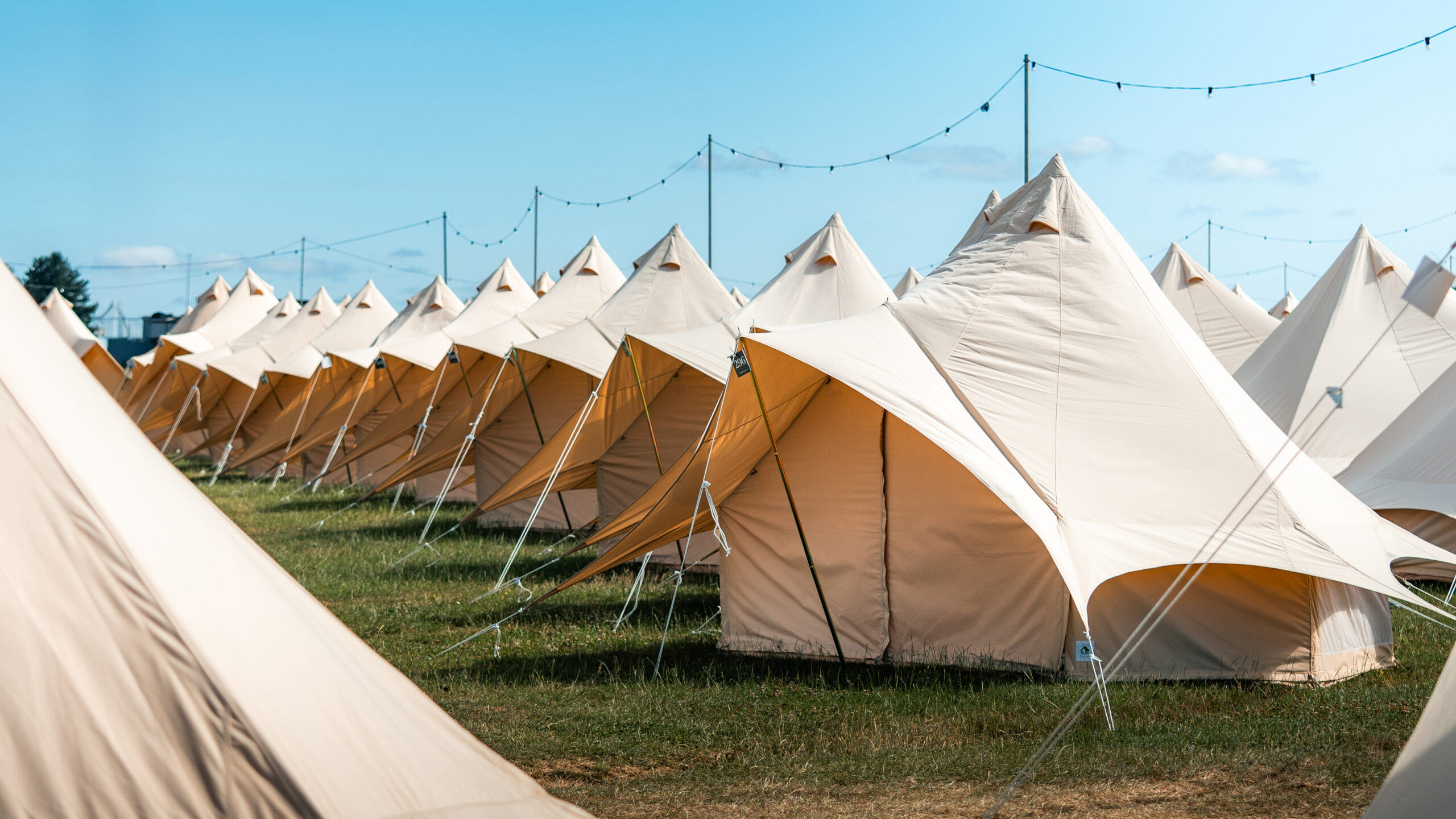 Rows of cream bell tents on grass beneath festoon lights at The Pop-Up Camp